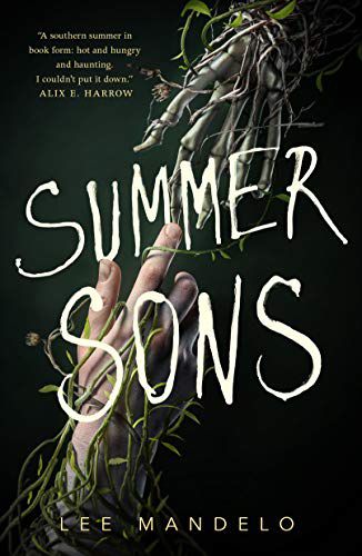 Book cover of Summer Sons